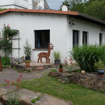 Haus Alpaka Villa Bad König Екстериор снимка