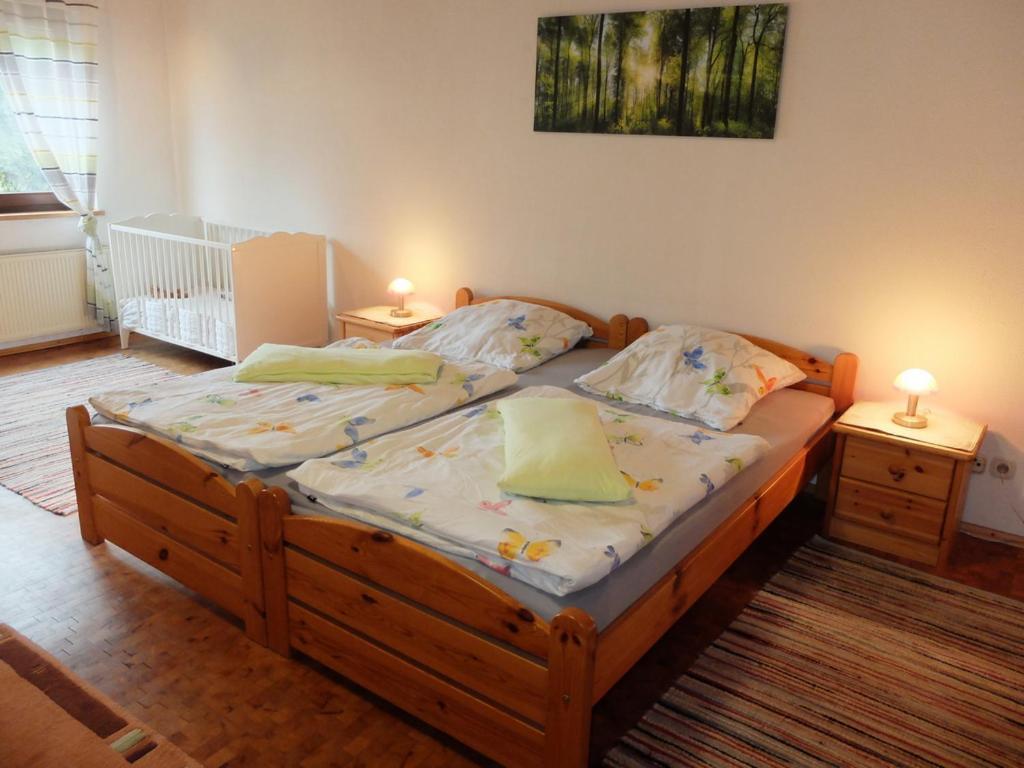 Haus Alpaka Villa Bad König Екстериор снимка